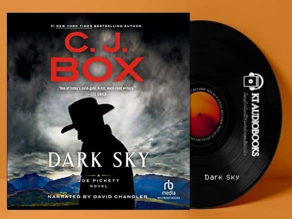Dark Sky Audiobook